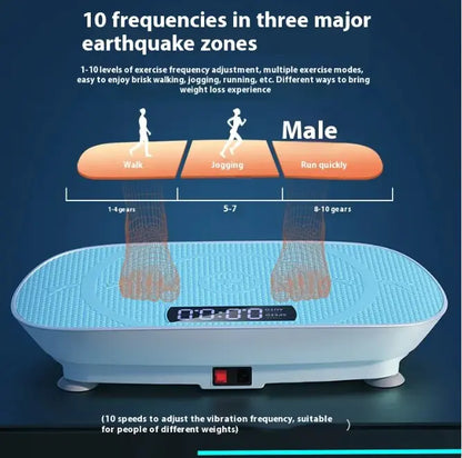Vibration plate with text on frequencies and earthquake zones on a dark blue background